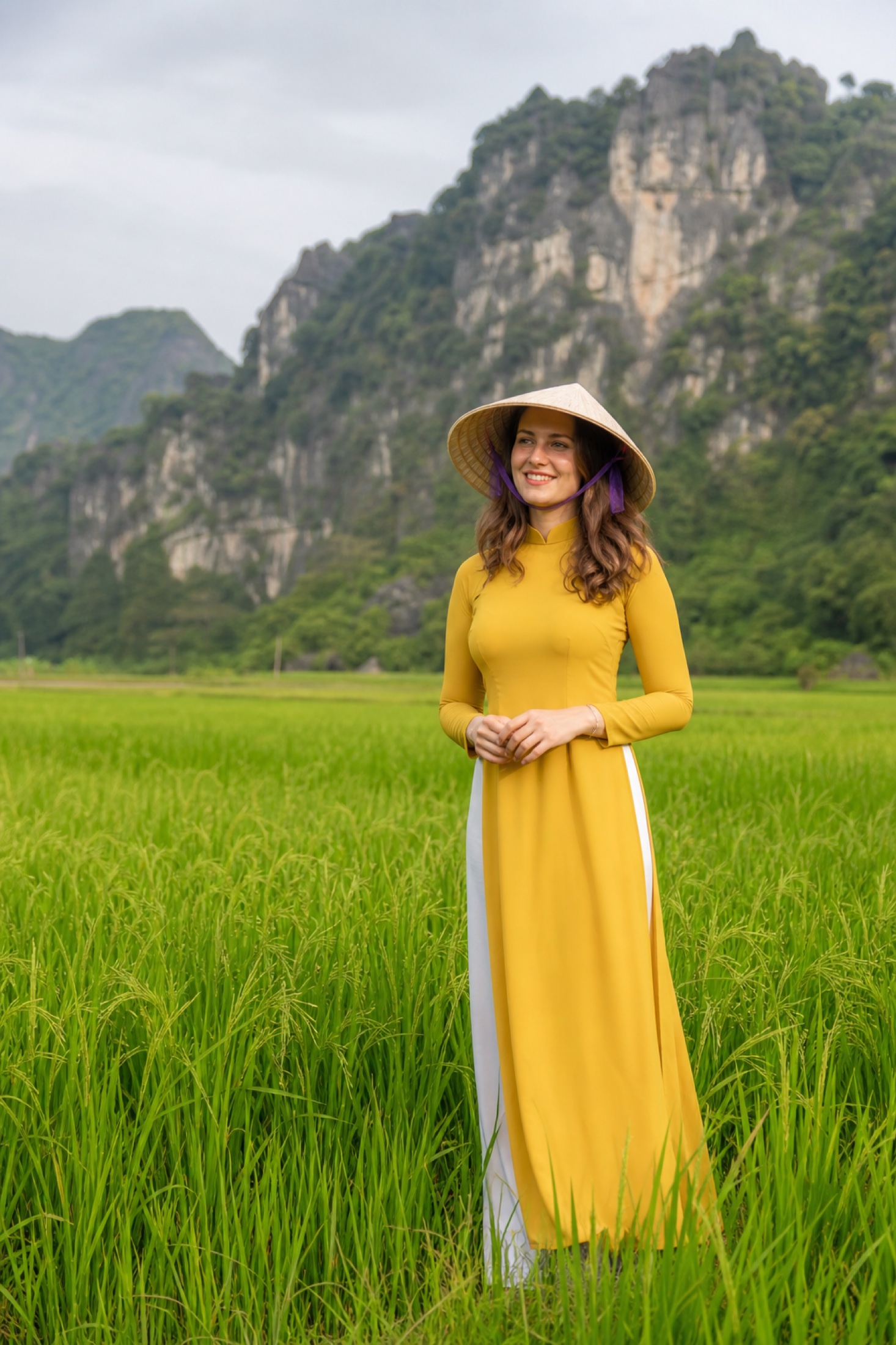 Countryside Ninh Binh — concept